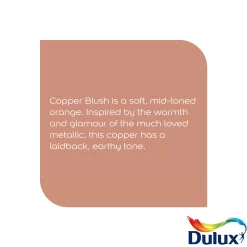 Dulux Easycare Kitchen Copper Blush Matt Wall Paint, 2.5L -Trade Point Sale Shop dulux easycare kitchen copper blush matt wall paint 2 5l5010212668429 36c bq