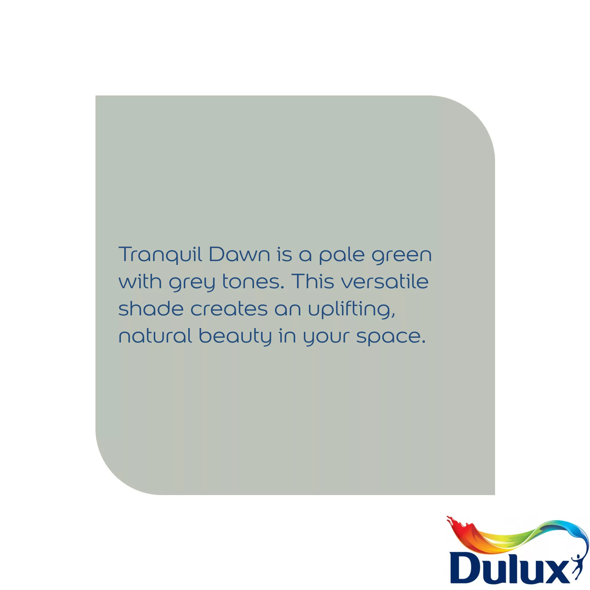 Dulux Easycare Kitchen Tranquil Dawn Matt Wall paint, 2.5L Dulux Easycare Kitchen Tranquil Dawn Matt Wall Paint, 2.5L -Trade Point Sale Shop dulux easycare kitchen tranquil dawn matt wall paint 2 5l5010212668337 36c bq