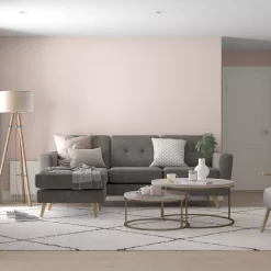 Dulux Easycare Washable & Tough Blush Pink Matt Wall Paint, 5L 3 Dulux Easycare Washable & Tough Blush Pink Matt Wall Paint, 5L -Trade Point Sale Shop dulux easycare washable tough blush pink matt wall paint 5l5010212659434 01i bq