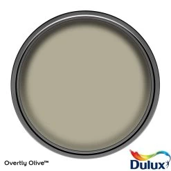 Dulux Easycare Washable & Tough Overtly Olive Matt Wall Paint, 5L 2 Dulux Easycare Washable & Tough Overtly Olive Matt Wall Paint, 5L -Trade Point Sale Shop dulux easycare washable tough overtly olive matt wall paint 5l5010212668306 12c bq