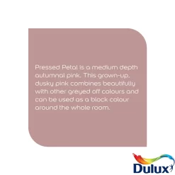 Dulux Easycare Washable & Tough Pressed Petal Matt Wall Paint, 5L 5 Dulux Easycare Washable & Tough Pressed Petal Matt Wall Paint, 5L -Trade Point Sale Shop dulux easycare washable tough pressed petal matt wall paint 5l5010212668283 36c bq