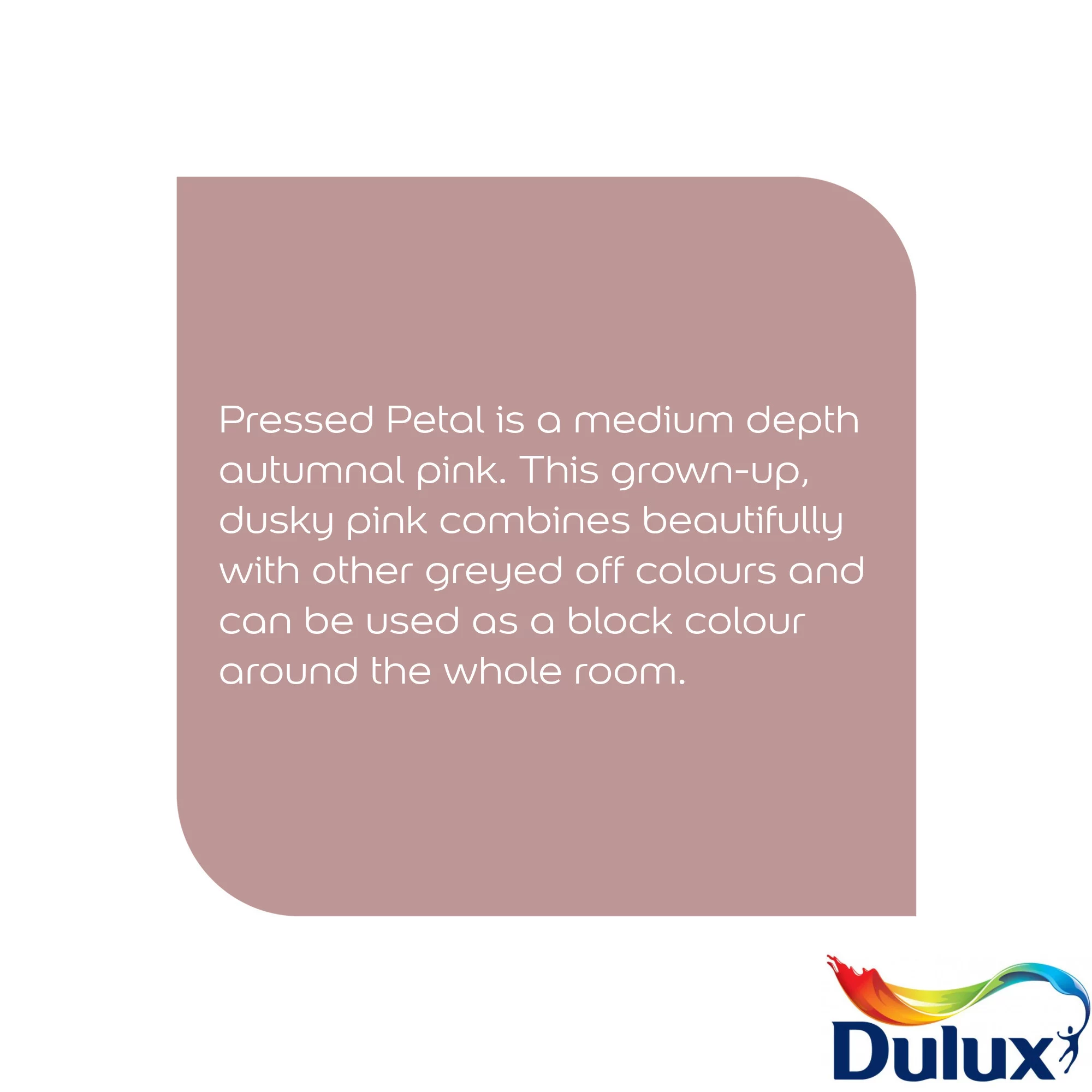 Dulux Easycare Washable & Tough Pressed Petal Matt Wall paint, 5L Dulux Easycare Washable & Tough Pressed Petal Matt Wall Paint, 5L -Trade Point Sale Shop dulux easycare washable tough pressed petal matt wall paint 5l5010212668283 36c bq