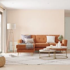 Dulux Walls & Ceilings Soft Peach Matt Emulsion Paint, 2.5L 4 Dulux Walls & Ceilings Soft Peach Matt Emulsion Paint, 2.5L -Trade Point Sale Shop dulux walls ceilings soft peach matt emulsion paint 2 5l5010212105405 02i bq