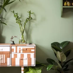 Farrow & Ball Estate Breakfast Room Green No.81 Eggshell Paint, 750ml -Trade Point Sale Shop farrow ball estate breakfast room green no 81 eggshell paint 750ml5029496738179 02i bq