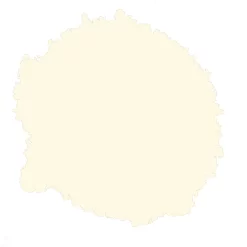 Rust-Oleum Painter's Touch Antique White Gloss Multi-surface Decorative Spray Paint, 400ml 2 Rust-Oleum Painter's Touch Antique White Gloss Multi-surface Decorative Spray Paint, 400ml -Trade Point Sale Shop rust oleum painter s touch antique white gloss multi surface decorative spray paint 400ml5013296950282 21c bq